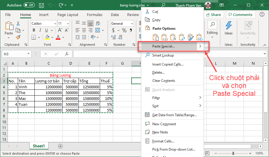 Copy/Paste trong Excel