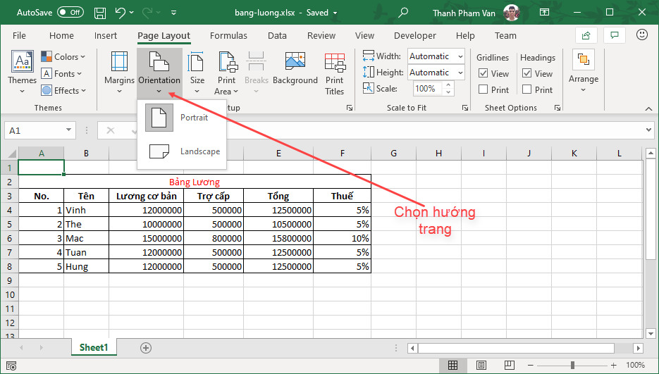 Định hướng trang trong Excel
