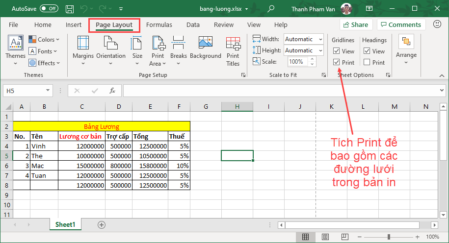 Sheet Options trong Excel