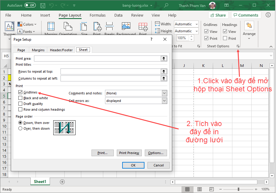 Sheet Options trong Excel