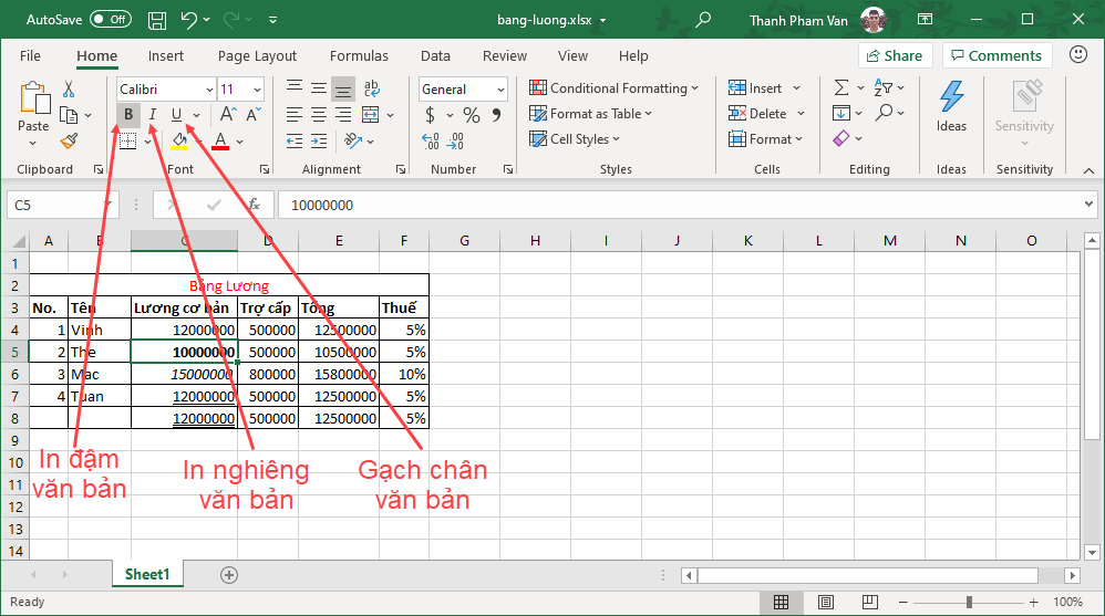 Trang trí văn bản trong Excel