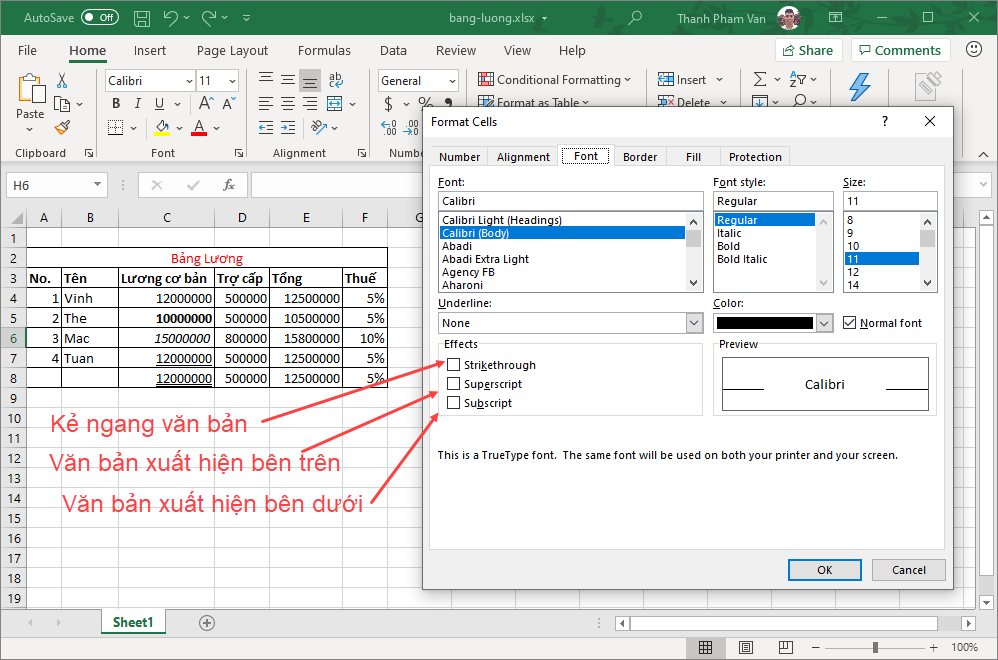 Trang trí văn bản trong Excel